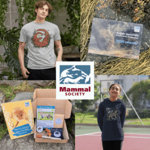 mammal-society