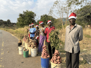 ripple-africa